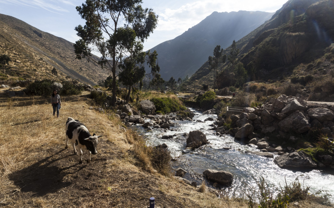 Cambio climático y crisis hídrica en Lima: propuestas para una seguridad hídrica regenerativa