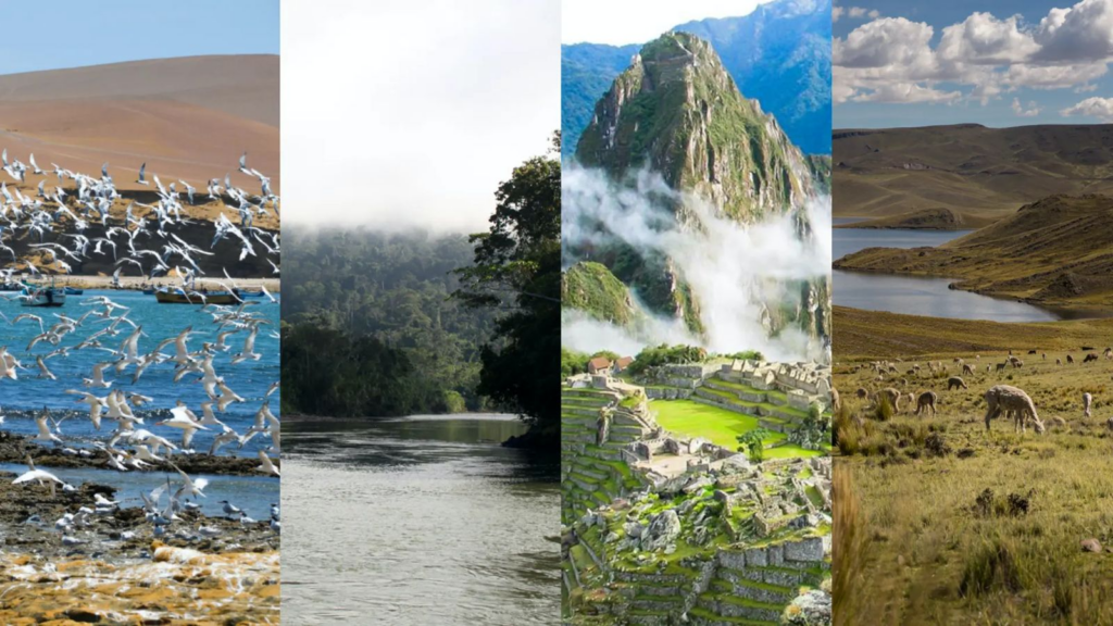 Análisis de la propuesta de reforma a la Ley N.º 26834 para fortalecer las Áreas Naturales Protegidas en el Perú. Datos oficiales, evidencia y casos que justifican su importancia.