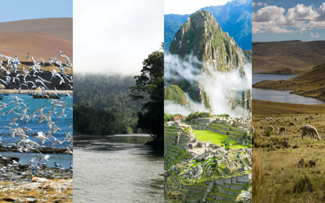 Fortalecimiento de las Áreas Naturales Protegidas en el Perú: una ley para asegurar biodiversidad, clima y derechos